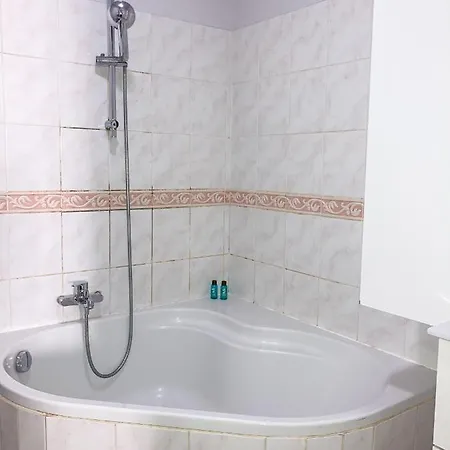 Le Campus Victoria Ii - Train Station & Isabey St - 75m2 Apartment Nancy